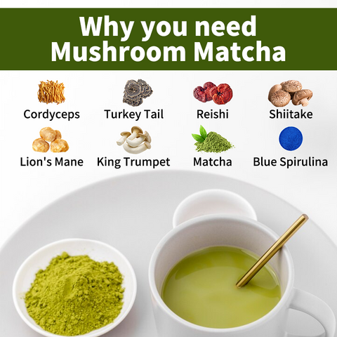 Mushroom matcha enhances immunity, promotes weight loss and anti-aging