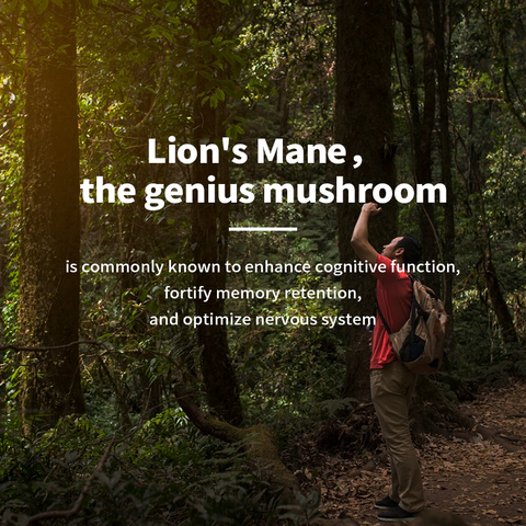 Lion Mane Capsules lmprove Memory and Concentration