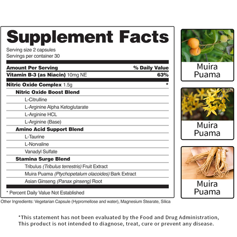 Nitric oxide capsules: guardians of cardiovascular andcerebrovascular health